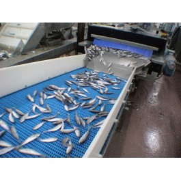 Μεταφορικες Ταινιες - Στη Βιομηχανία Επεξεργασία Ψαριών Εφαρμογές