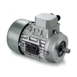 two speed  Electric motors